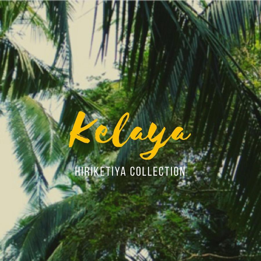Kelaya At Hiriketiya Collection 호텔 디크웰라 외부 사진